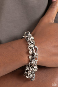Paparazzi Two-Tone Taste - Silver